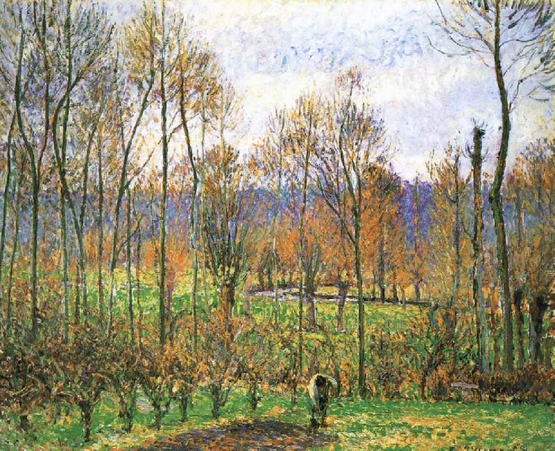 Camille Pissarro Cloudy Poplar